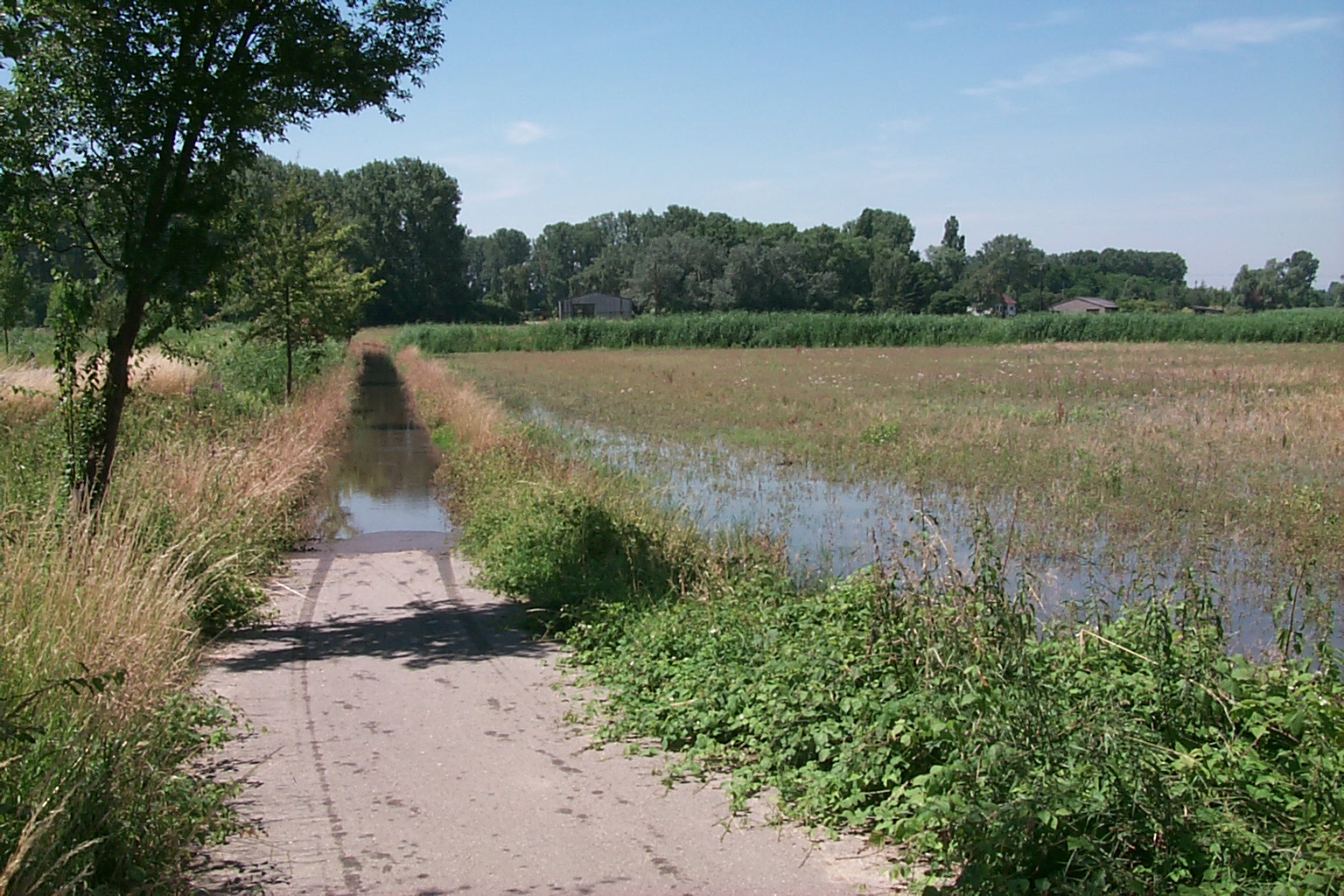 p0000050.jpg