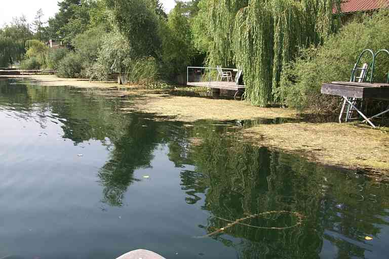 p0003372.jpg